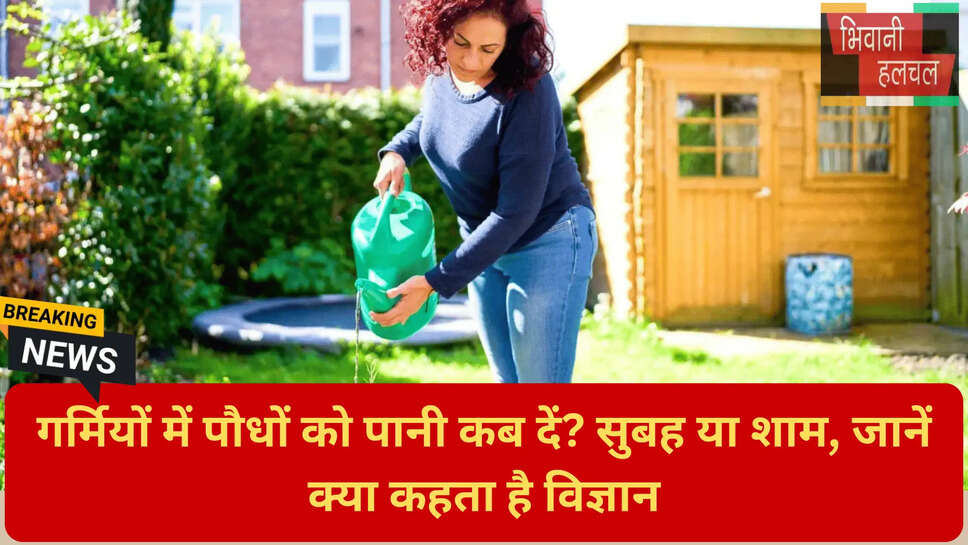 गार्डनिंग मिस्टेक्स