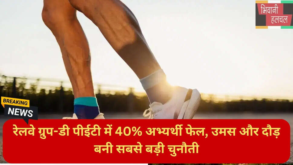 सरकारी नौकरी समाचार