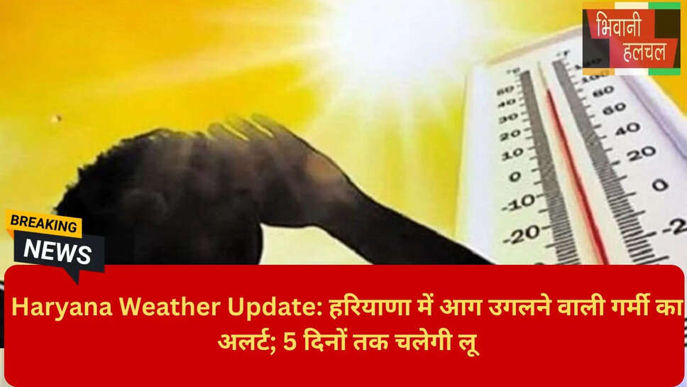 Haryana Weather Update Today