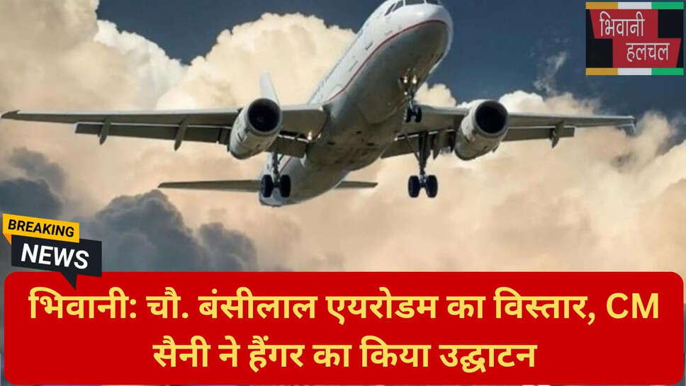 हरियाणा विमानन सेवाएं