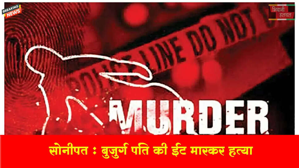 बुजुर्ग पति की ईंट मारकर हत्या