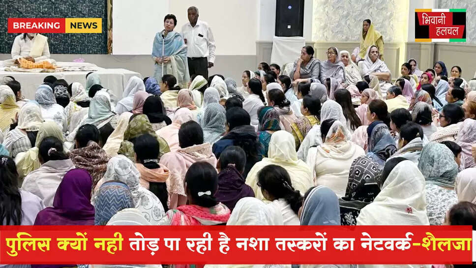 पुलिस क्यों नहीं तोड़ पा रही हरियाणा में नशा तस्करों का नेटवर्क: कुमारी सैलजा