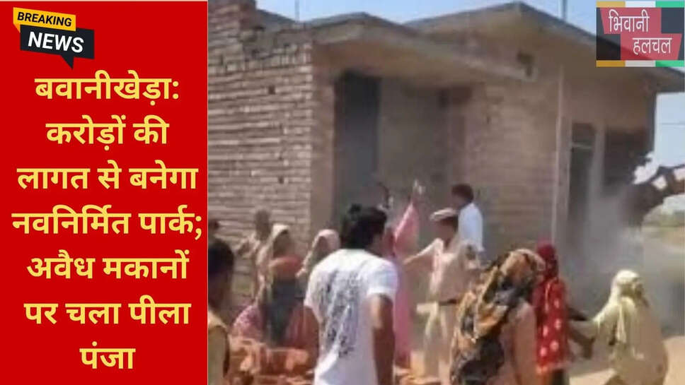 बवानीखेड़ा न्यूज़