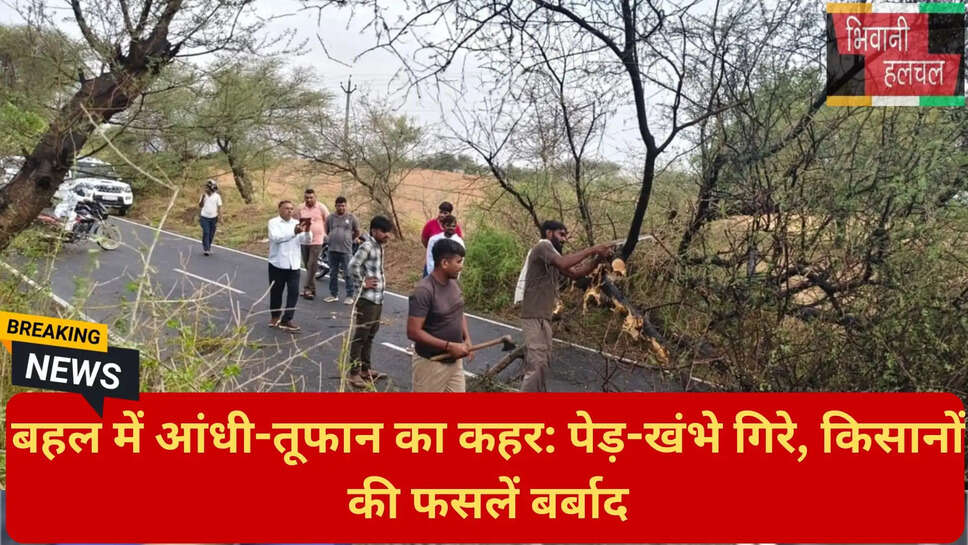 किसानों की बिजाई पर असर