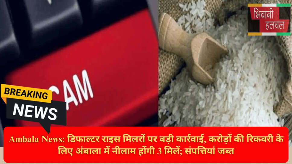 Rice Mill Defaulter Haryana