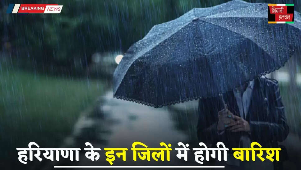 Haryana Weather: हरियाणा के इन जिलों में होगी बारिश, विभाग ने जारी किया अलर्ट