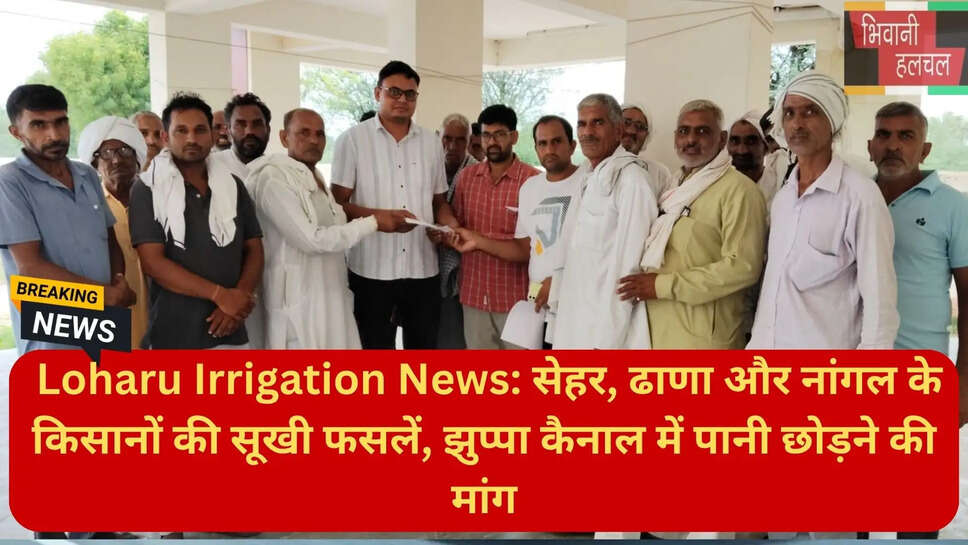 लोहारू नहर विभाग