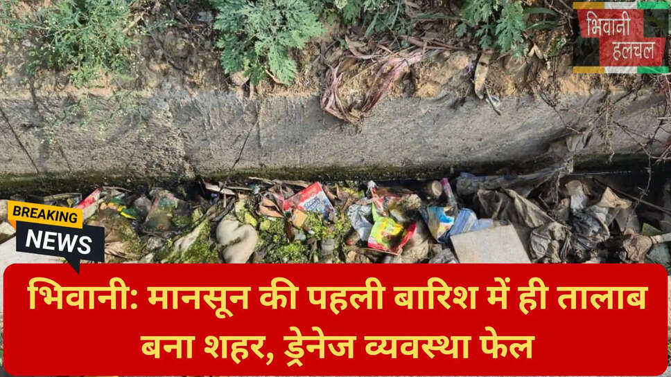 पॉलिथीन से जाम नाले