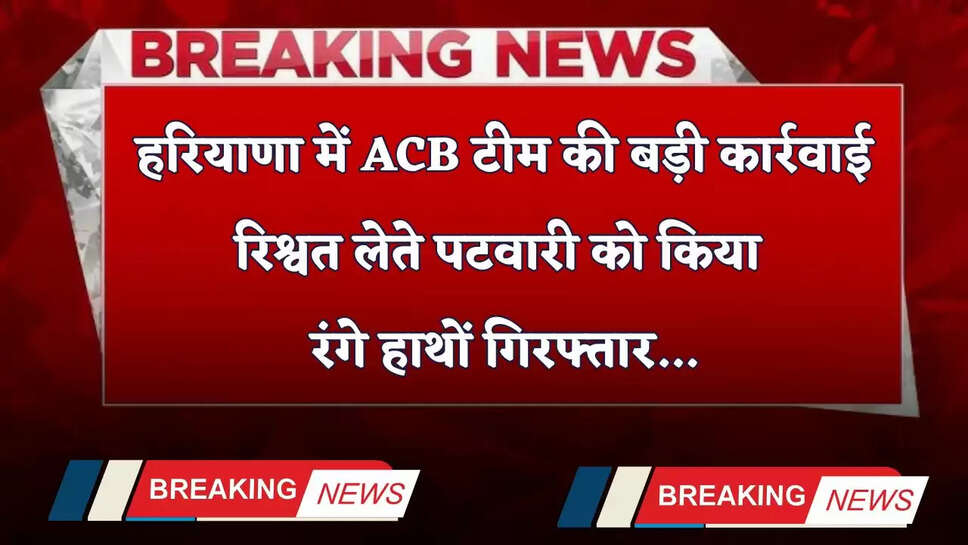Haryana: हरियाणा में ACB टीम की बड़ी कार्रवाई, रिश्वत लेते पटवारी को किया रंगे हाथों गिरफ्तार&nbsp;