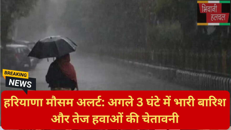 बारिश से बचाव के उपाय