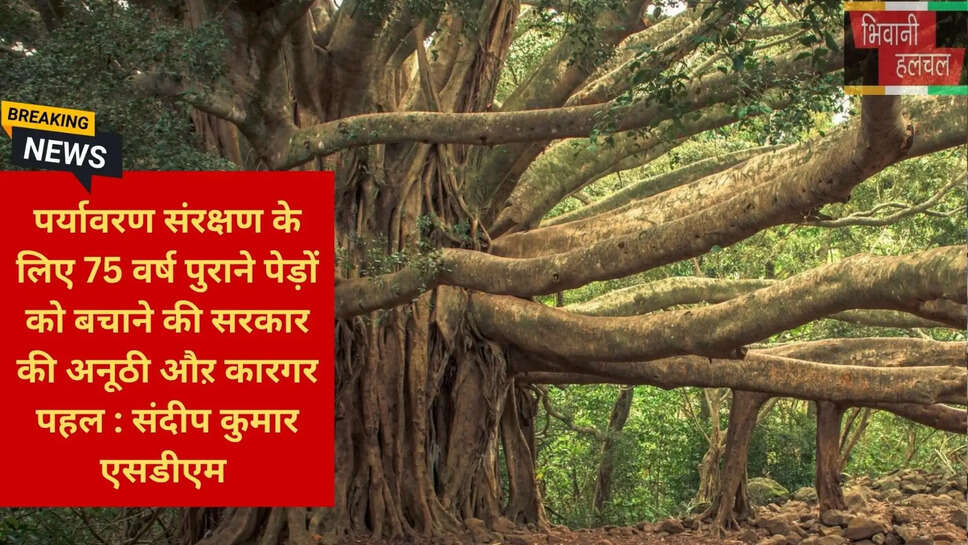 SDM Sandeep Kumar Tosham News