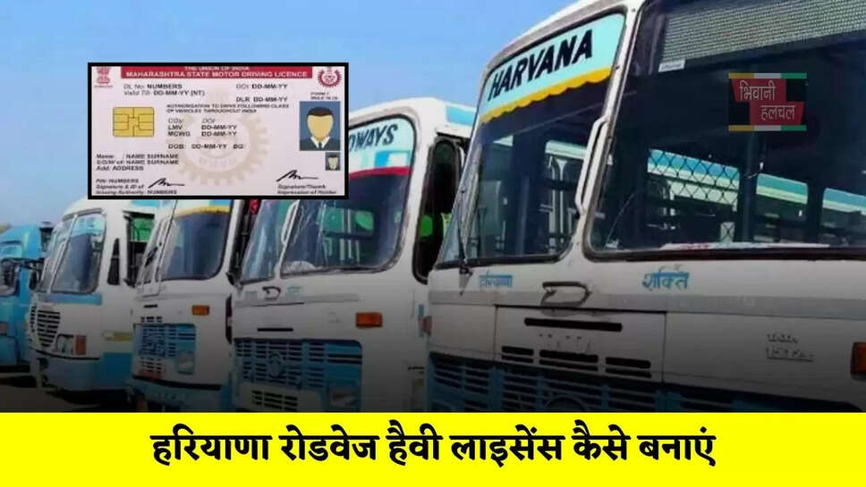 हरियाणा रोडवेज हैवी लाइसेंस कैसे बनाएं, जाने कैसे करें Apply ?