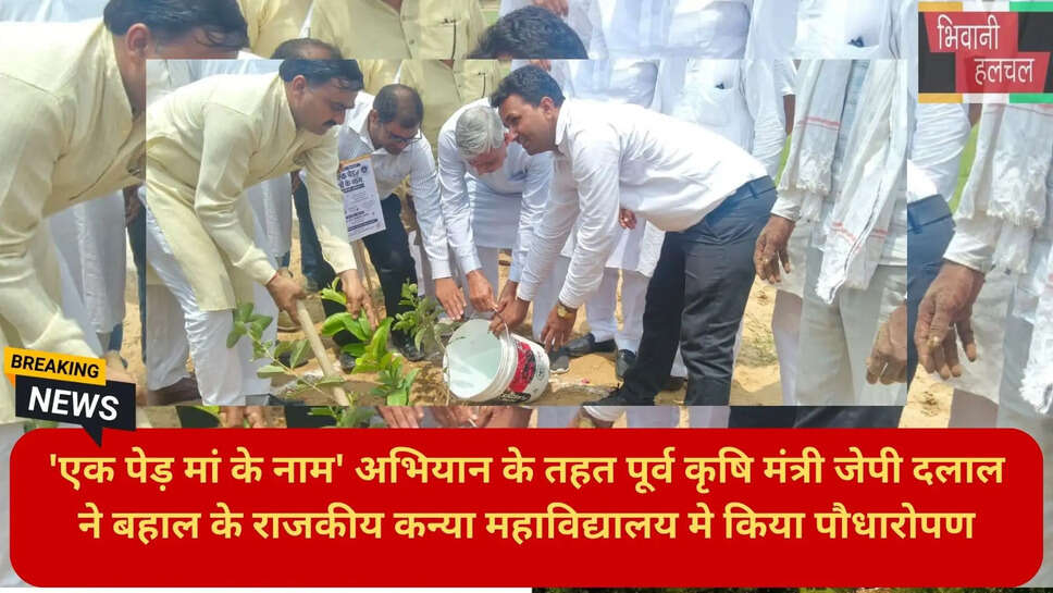 बहल समाचार हिंदी