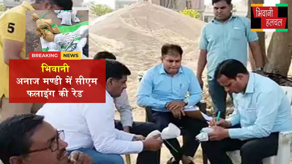 भिवानी अनाज मंडी में सीएम फ्लाइंग की रेड:सरसों के 7 सैंपल भरे&nbsp;