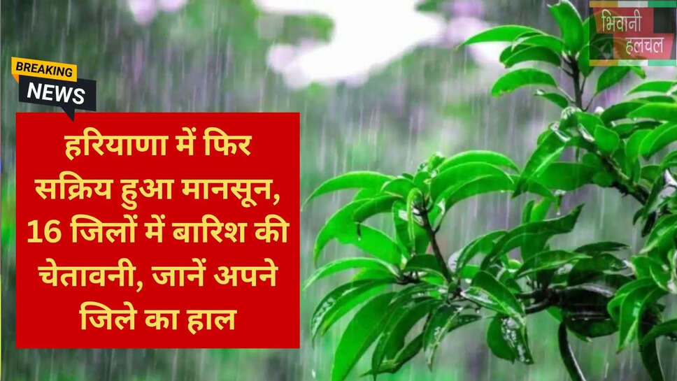 अंबाला नारनौल बारिश