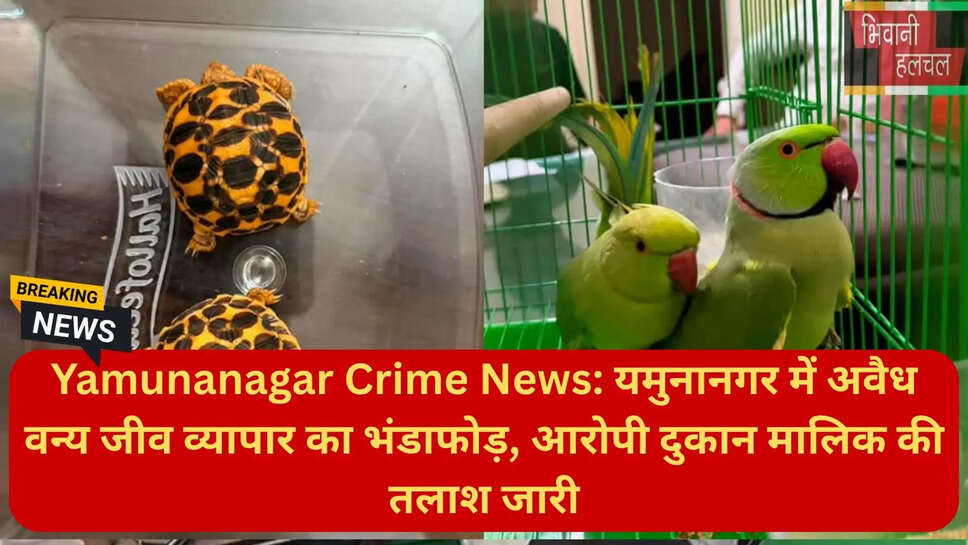 वन्य जीव संरक्षण अधिनियम