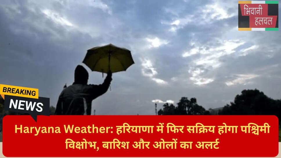 सरसों की कटाई सावधान