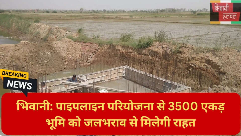 भिवानी कृषि समाचार