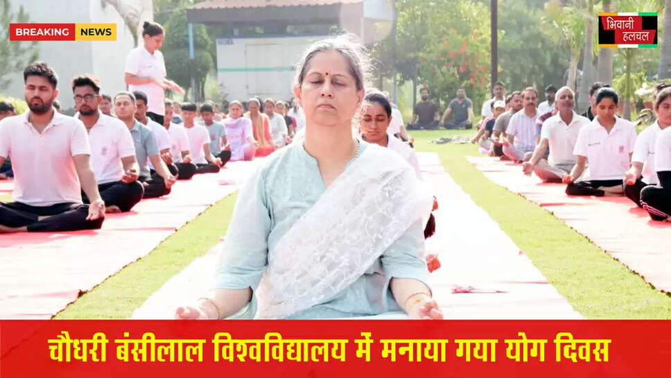 चौधरी बंसीलाल विश्वविद्यालय में मनाया गया अंतर्राष्ट्रीय योग दिवस&nbsp;