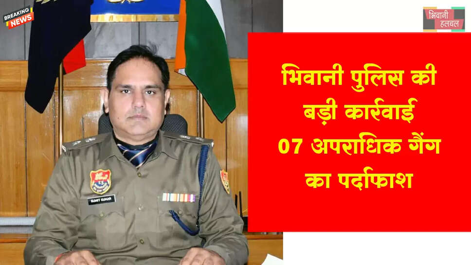 भिवानी पुलिस की वर्ष 2025 में बड़ी कार्रवाई: 07 आपराधिक गैंग का पर्दाफाश 