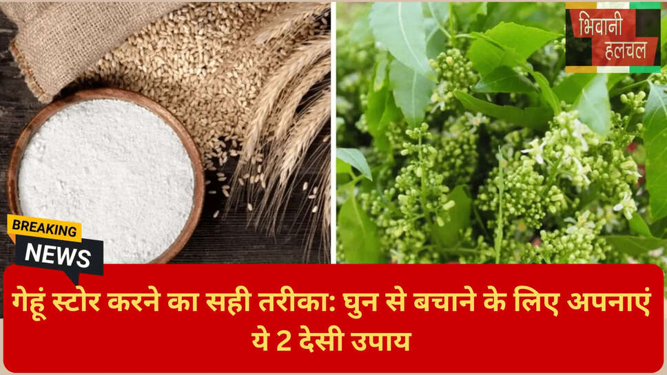 घरेलू नुस्खे