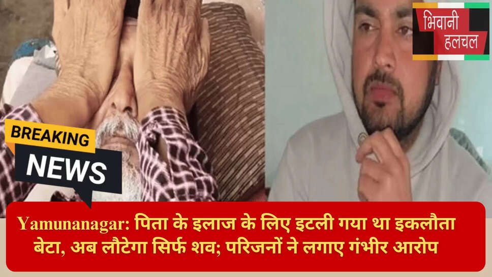 Agent Fraud Foreign Case