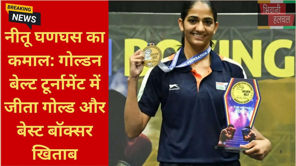 नीतू घणघस उपलब्धि