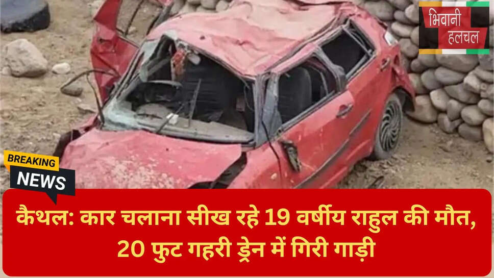 हरियाणा समाचार