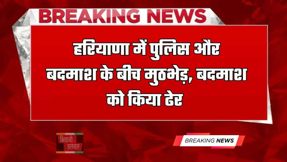 हरियाणा में पुलिस और बदमाश के बीच मुठभेड़,&nbsp;बदमाश को किया ढेर&nbsp;