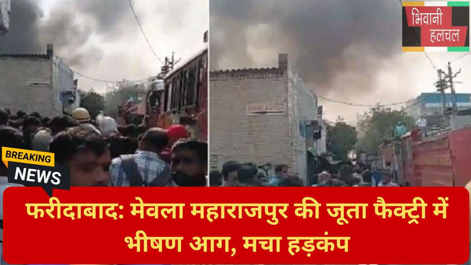 औद्योगिक क्षेत्र फरीदाबाद