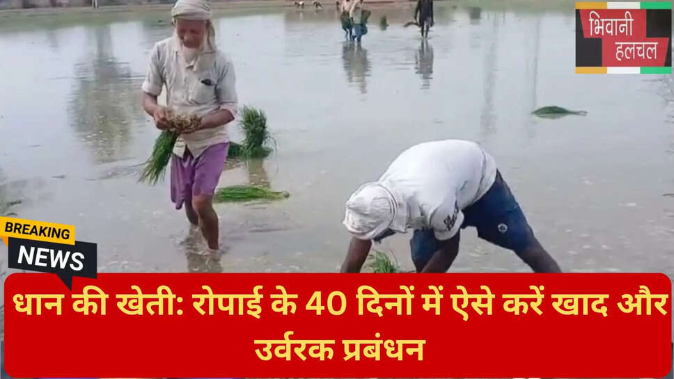कुरुक्षेत्र कृषि विभाग सलाह