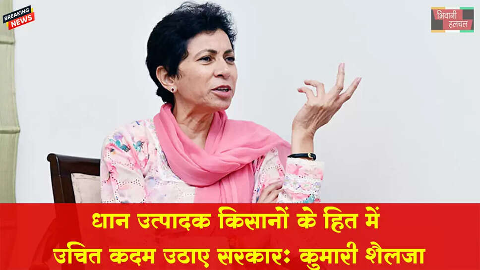 धान उत्पादक किसानों के हित में उचित कदम उठाए भाजपा सरकार:कुमारी सैलजा