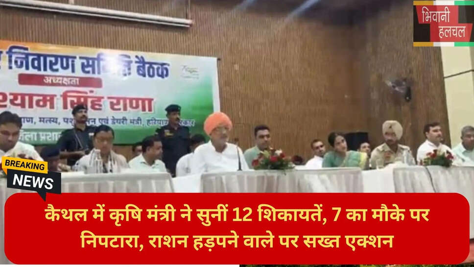 हरियाणा न्यूज
