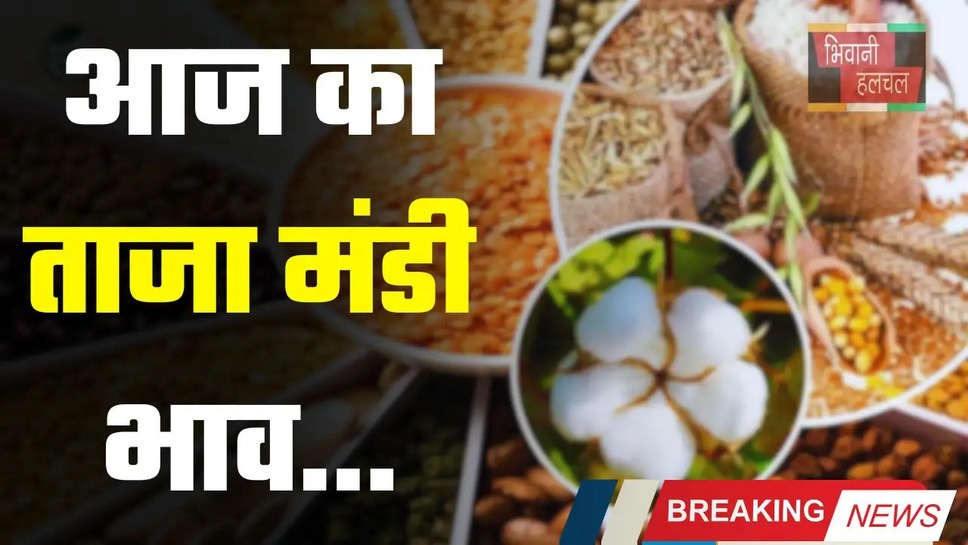 Mandi Bhav : हरियाणा राजस्थान की मंडियों के ताजा भाव हुए जारी