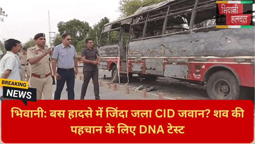 डीएनए टेस्ट पहचान