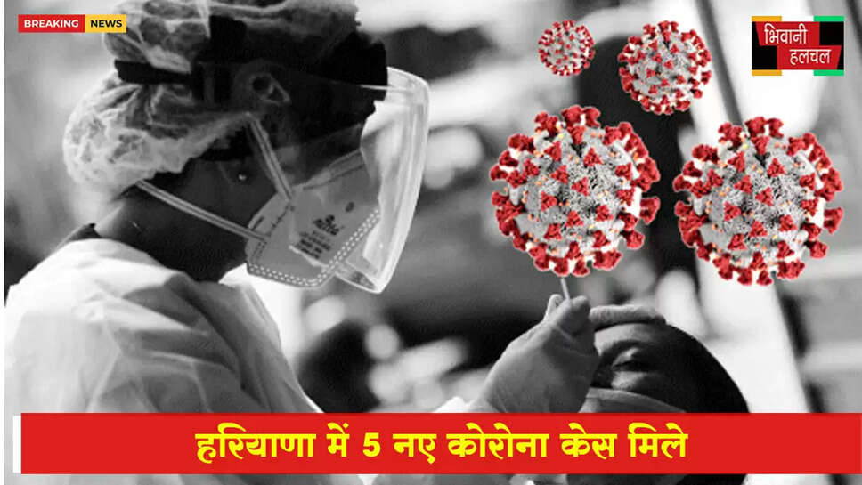 हरियाणा में 5 नए कोरोना केस मिले, 2 मरीजों की ट्रैवल हिस्ट्री
