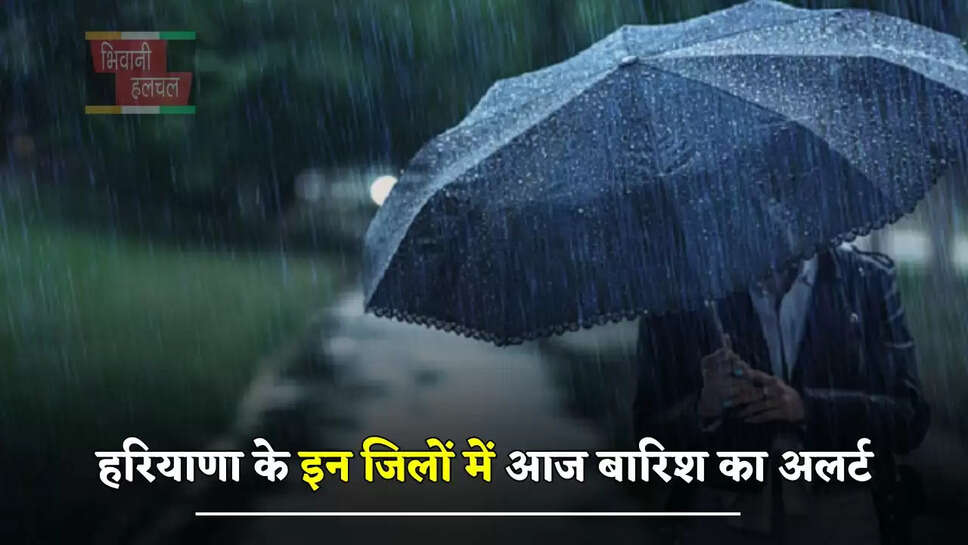 हरियाणा के इन जिलों में आज बारिश का अलर्ट, देखें ताजा अपडेट&nbsp;
