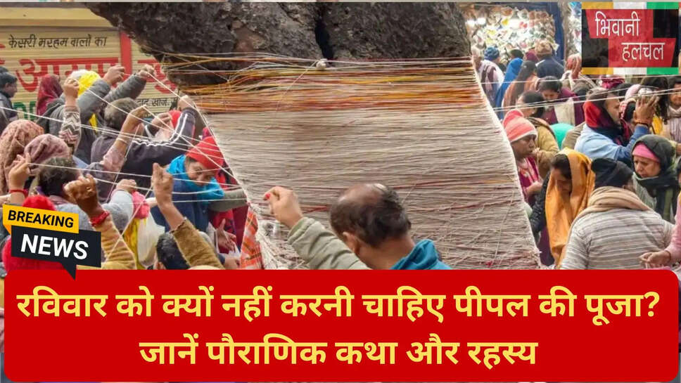 रविवार को पीपल वर्जित क्यों