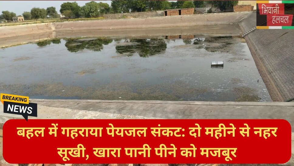 भूमिगत खारा पानी समस्या