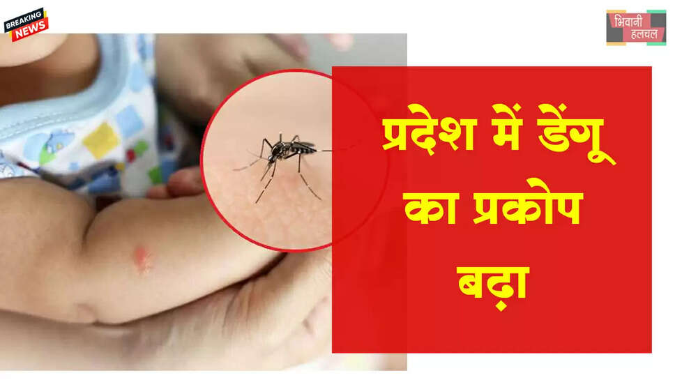 प्रदेश में डेंगू-मलेरिया का प्रकोप बढ़ा&nbsp;
