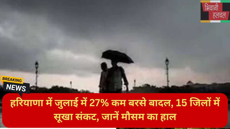 हरियाणा न्यूज हिंदी