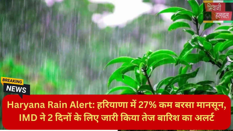 हरियाणा न्यूज हिंदी
