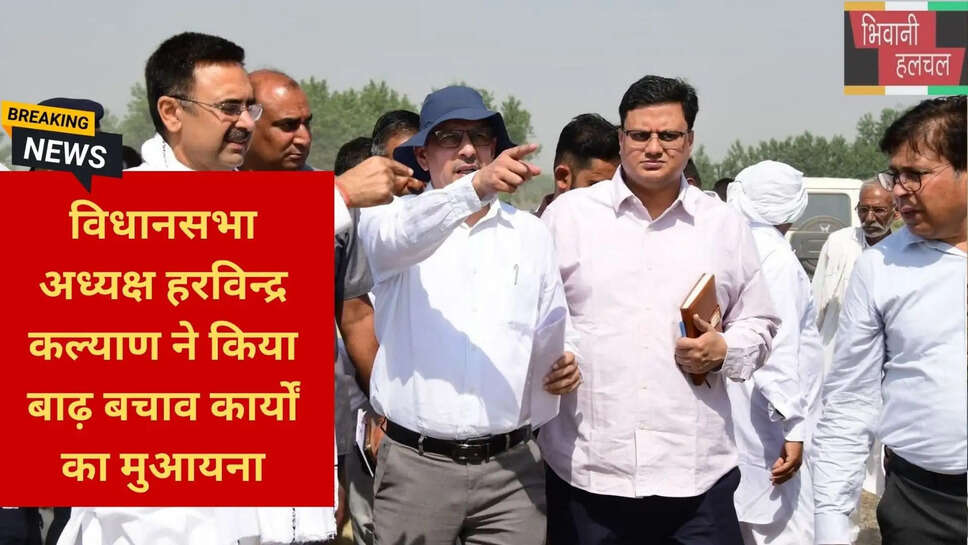 Irrigation Department Haryana Yamuna Work
