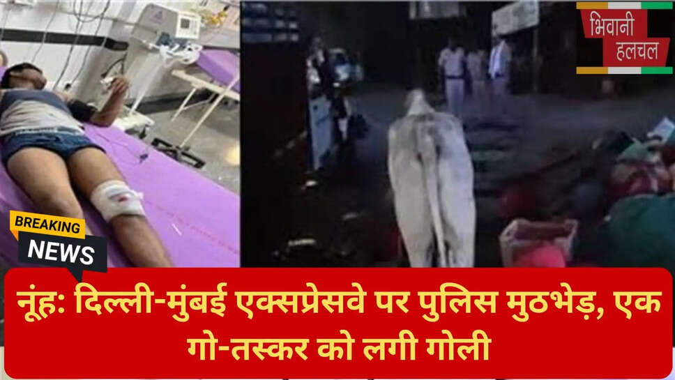 हरियाणा पुलिस गो-तस्कर