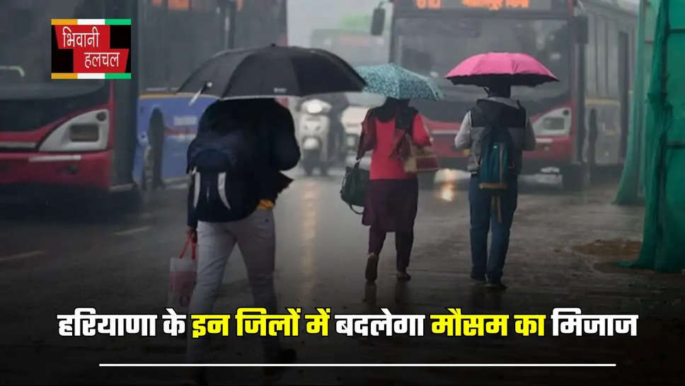 हरियाणा के इन जिलों में बदलेगा मौसम का मिजाज, जाने मौसम विभाग का ताजा अपडेट 