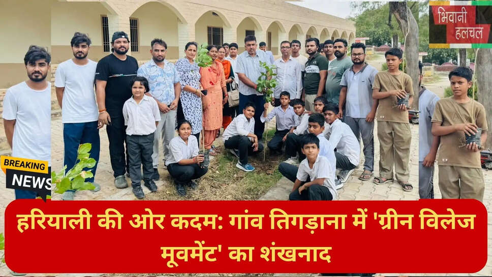 environmental campaign Haryana village