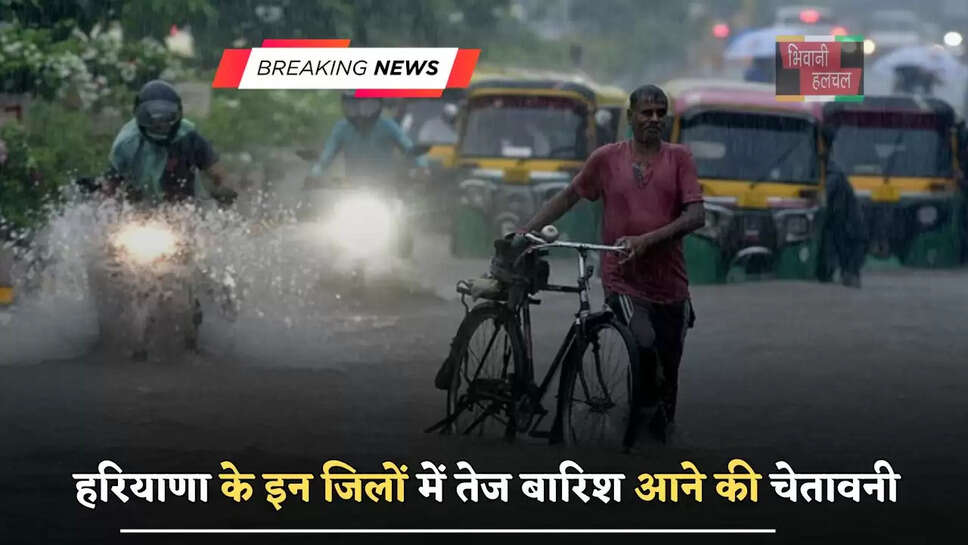 हरियाणा के इन जिलों में तेज बारिश आने की चेतावनी, देखें 5 अगस्त तक कैसा रहेगा मौसम ?&nbsp;