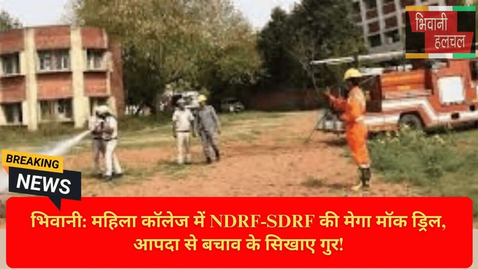 Dog Squad Rescue Operation Bhivani