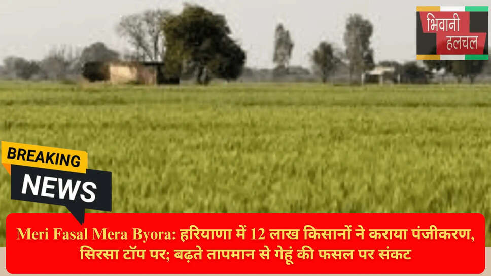 सिरसा किसान पंजीकरण