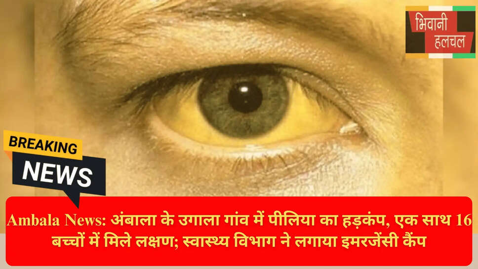 Disease due to Contaminated Water